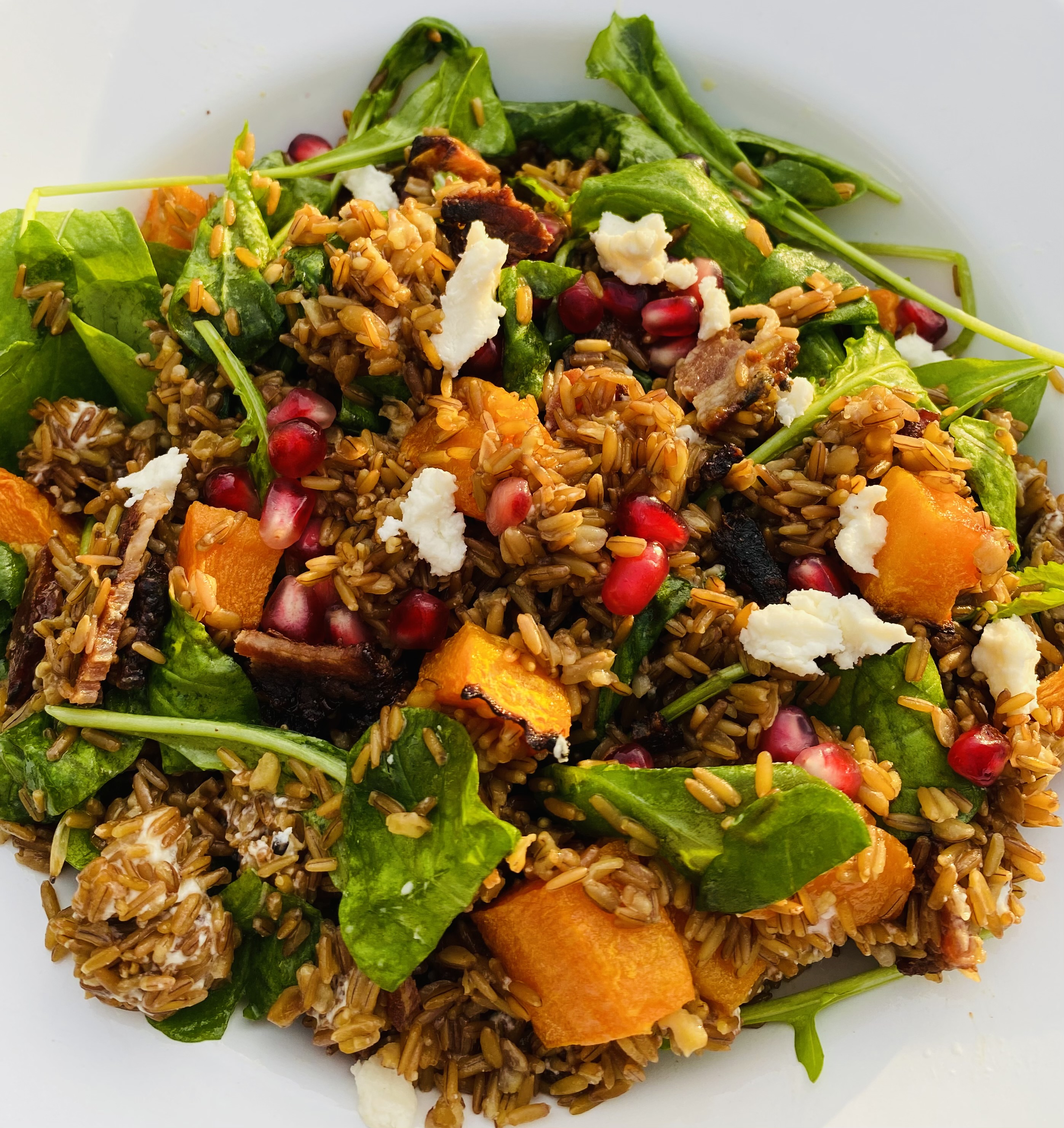 Kernza® whole grain salad with roasted butternut squash, bacon, crumbled goat cheese, fresh arugula and pomegranate seeds